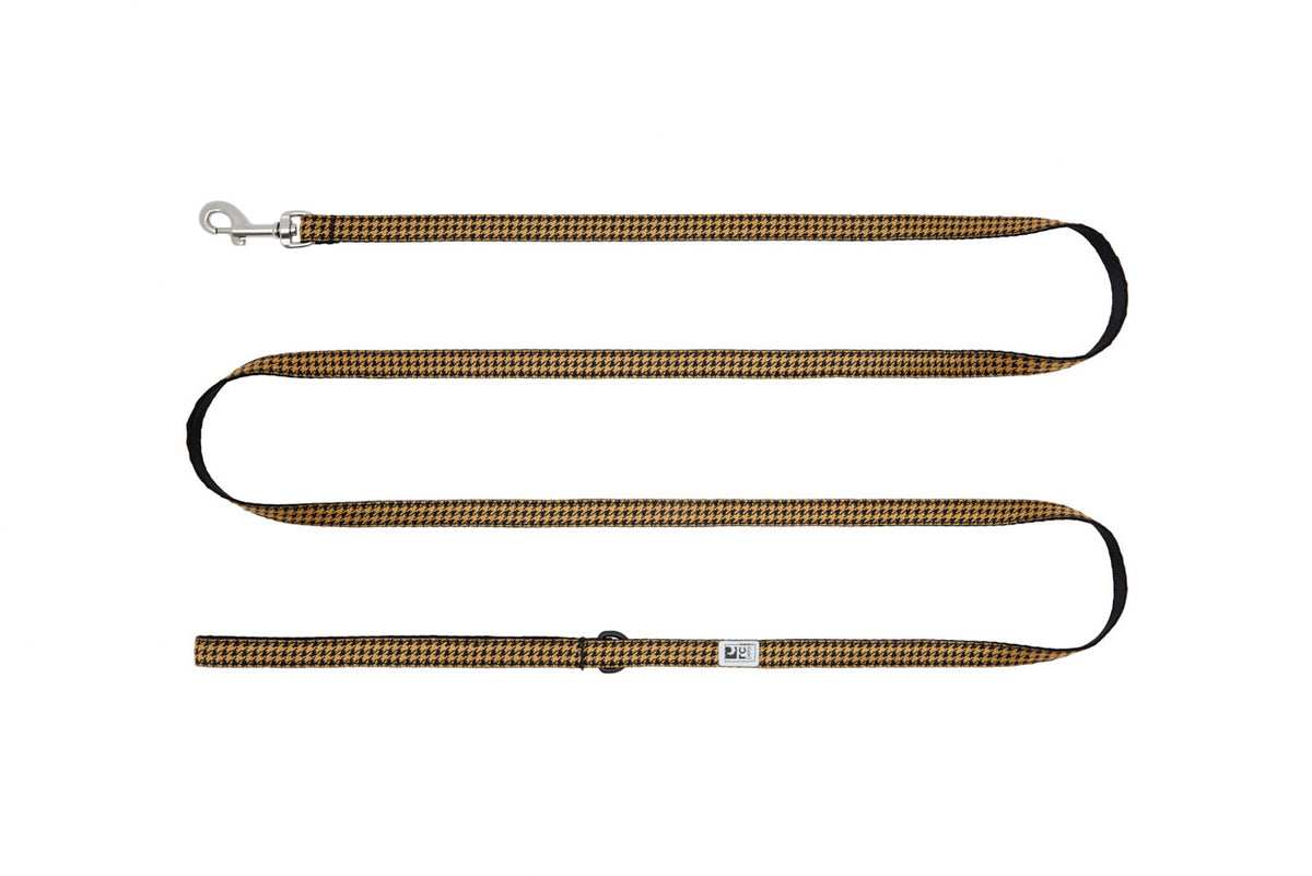Laisse Petite à motifs 1/2 po x 6 pi