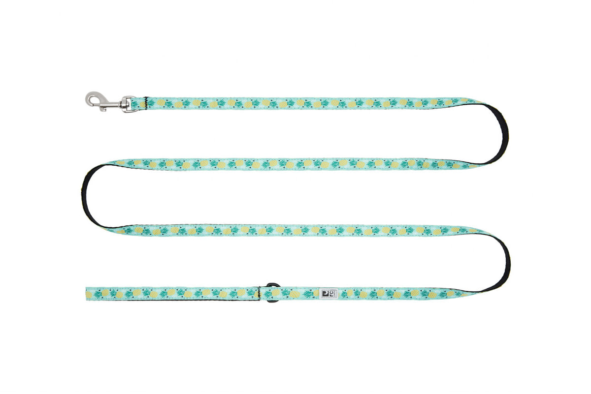 Laisse Petite à motifs 1/2 po x 6 pi