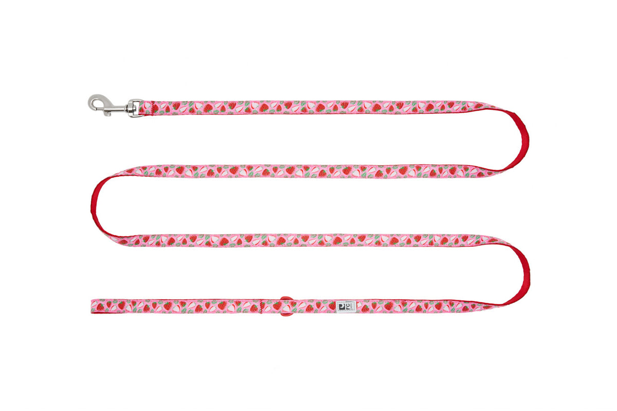 Laisse Petite à motifs 1/2 po x 6 pi