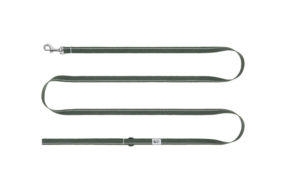 Laisse de base Petite 1/2 po x 6 pi