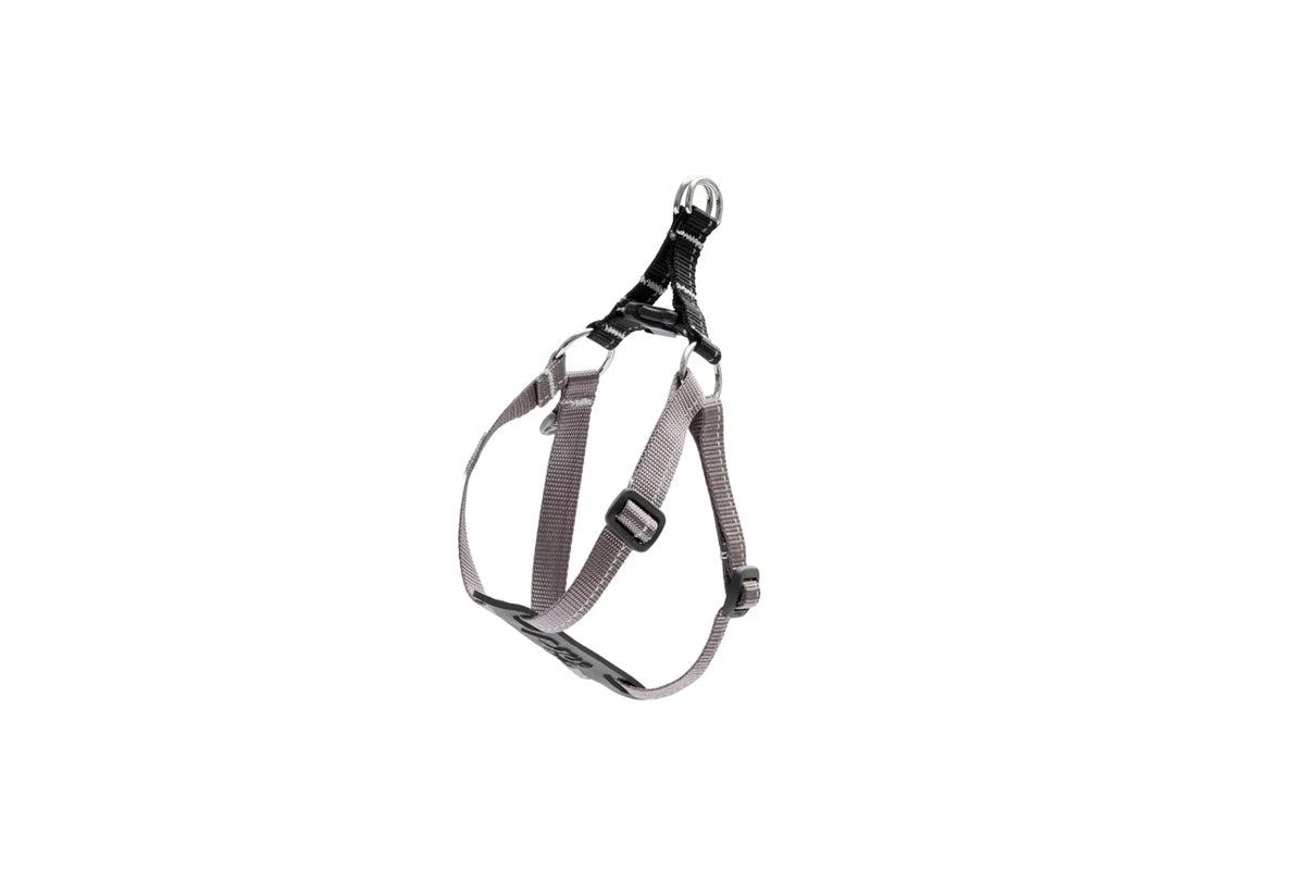 Harnais à enfiler Petite pour chien - RC Pets