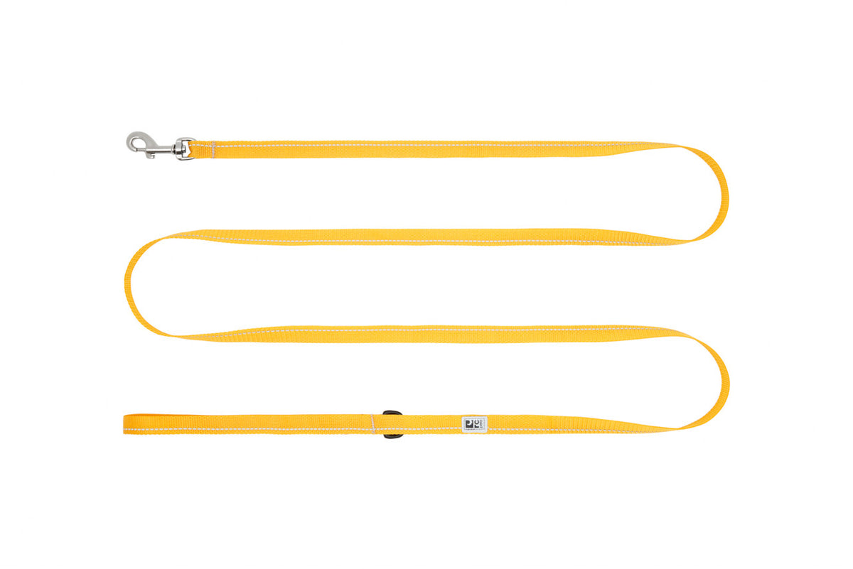 Laisse de base Petite 1/2 po x 6 pi