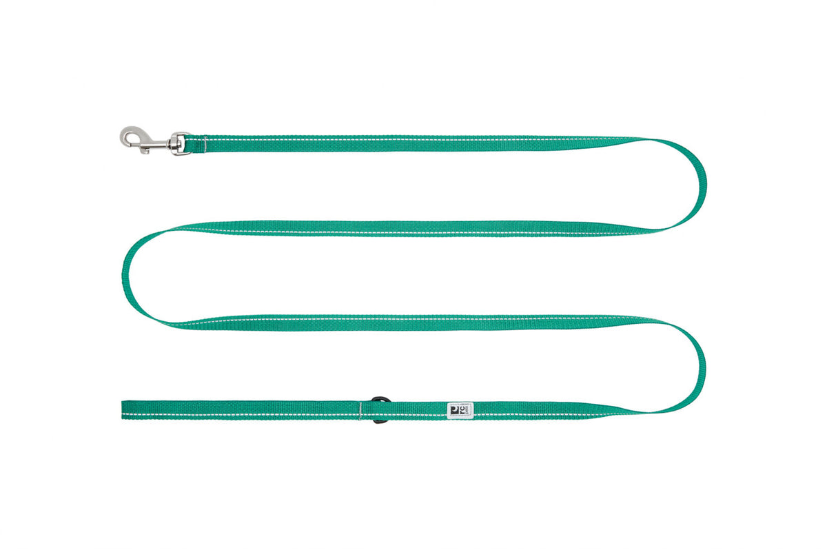 Laisse de base Petite 1/2 po x 6 pi