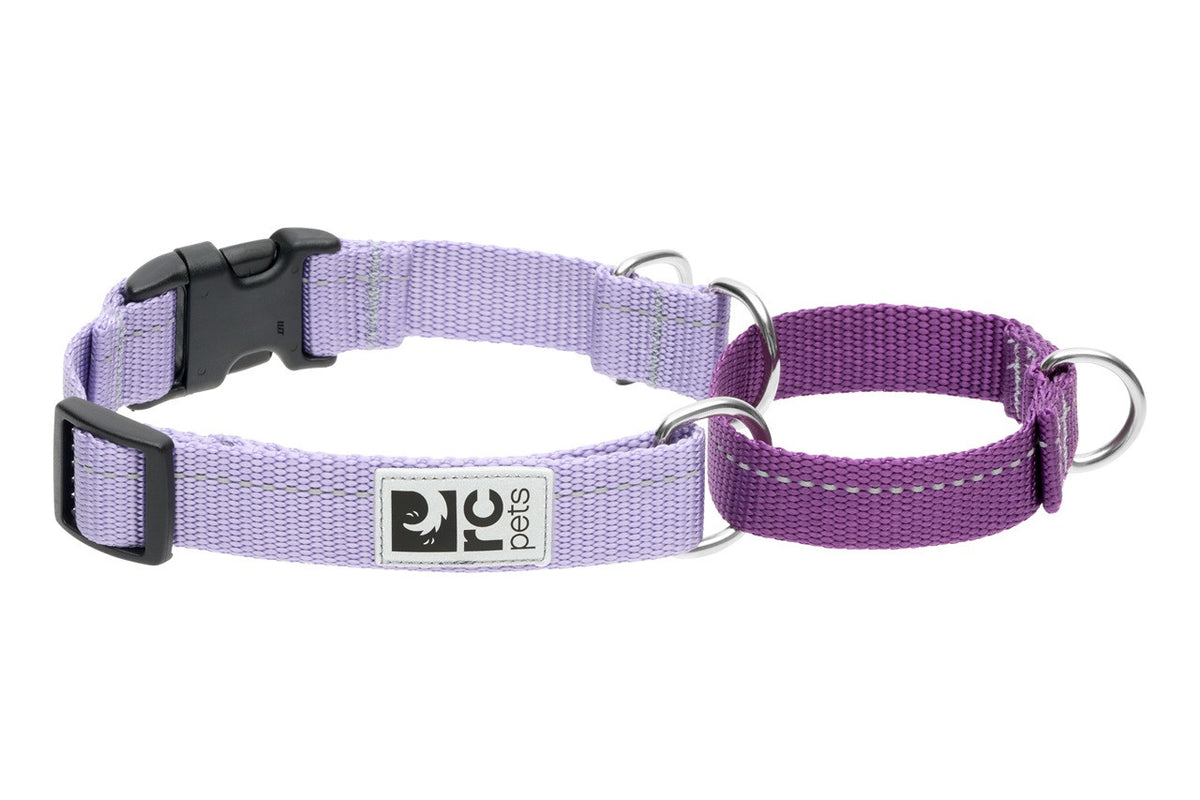 Collier de dressage en sangle