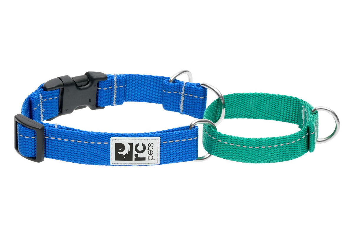 Collier de dressage en sangle