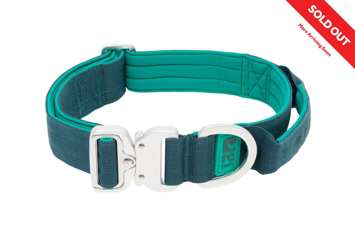Collier Stratus pour chien - RC Pets