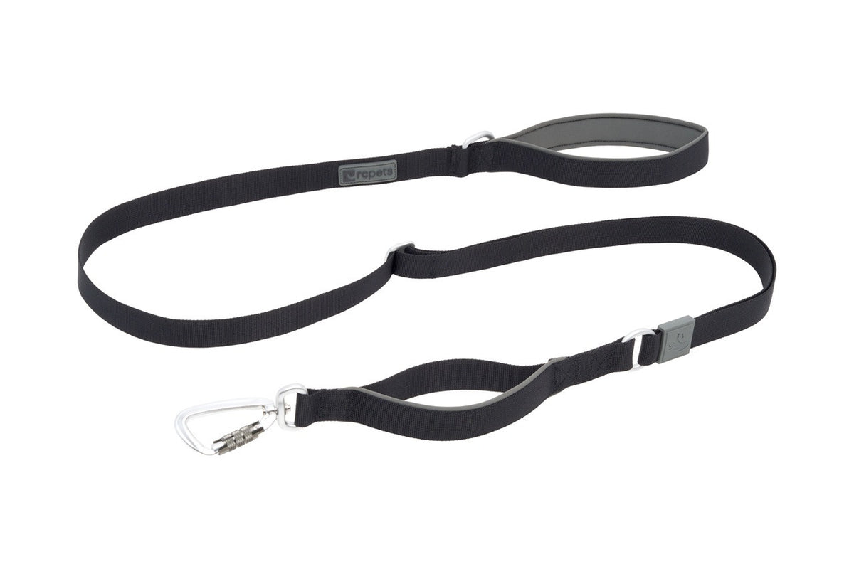 Laisse Stratus 1 po x 7 pi