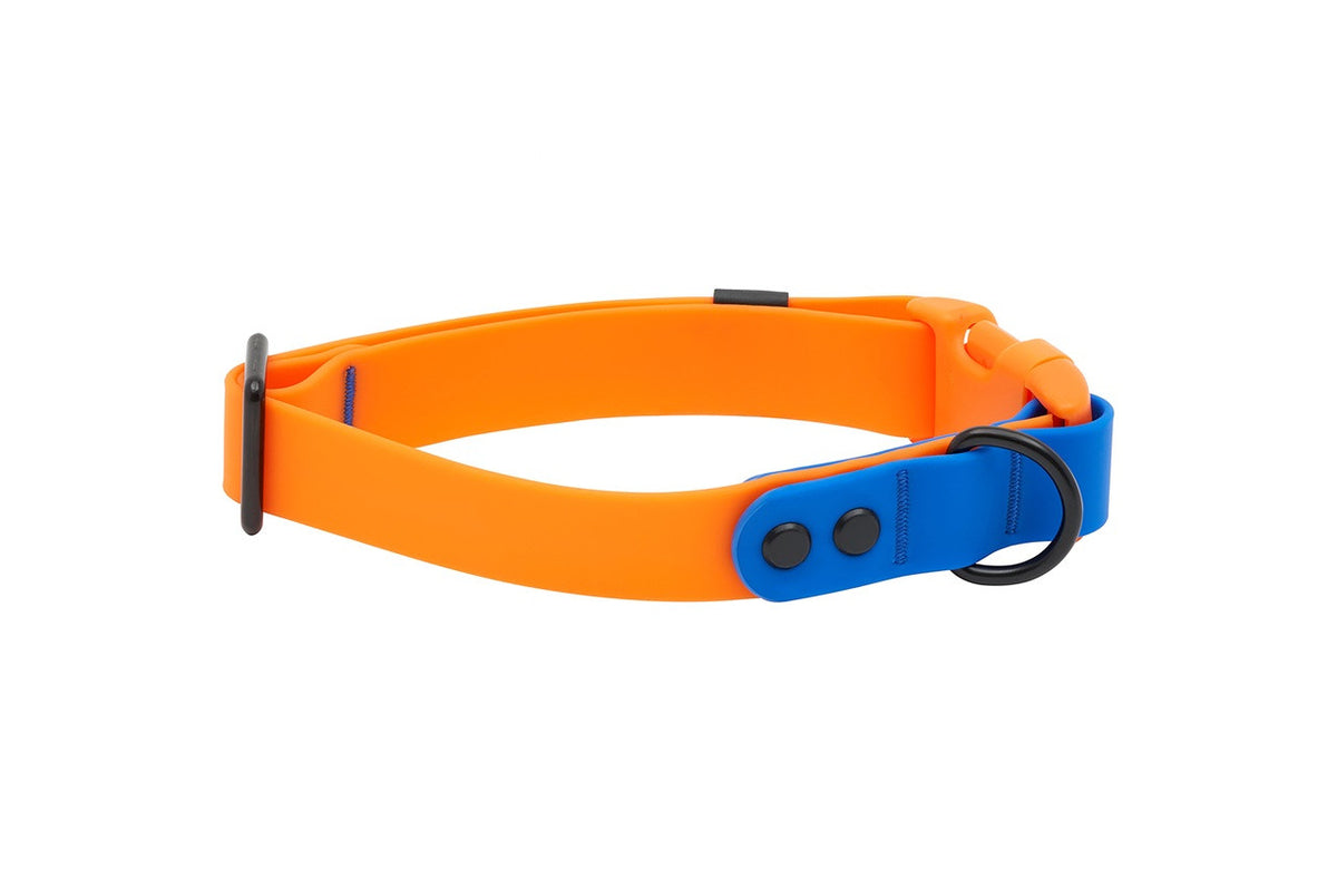 Collier imperméable pour chien - RC Pets