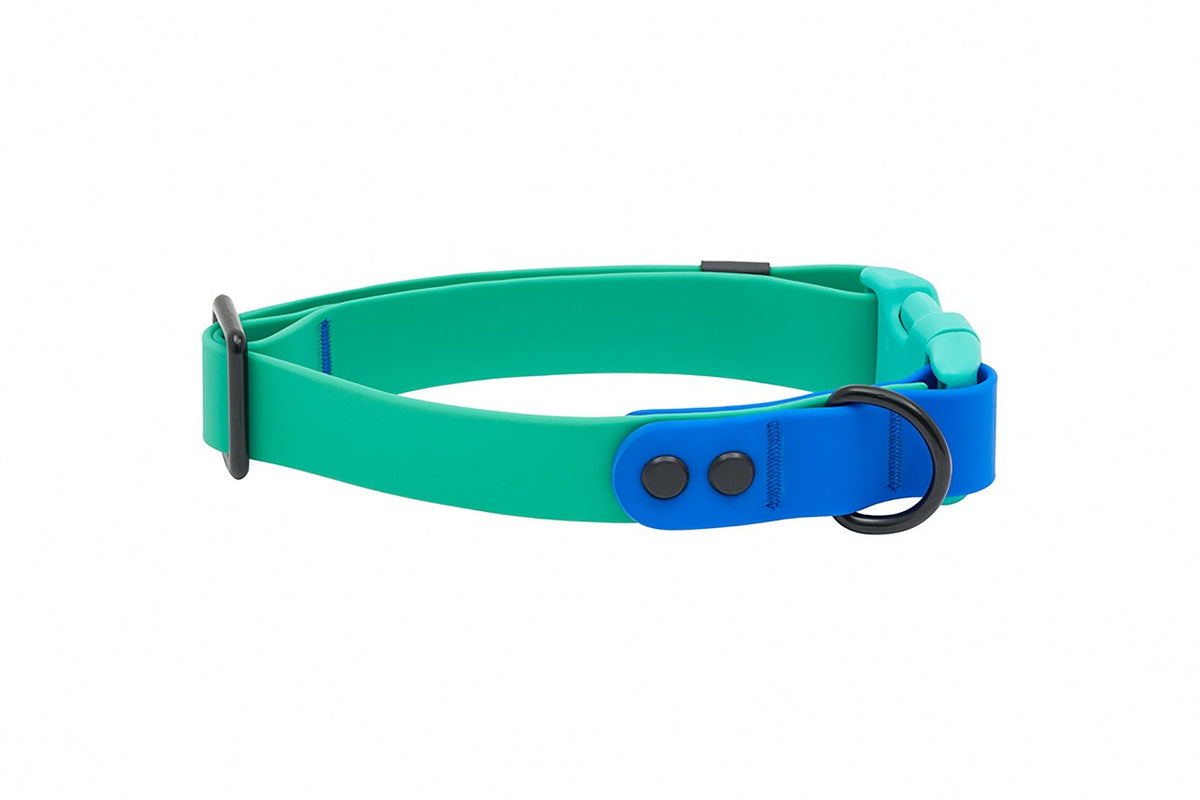 Collier imperméable pour chien - RC Pets