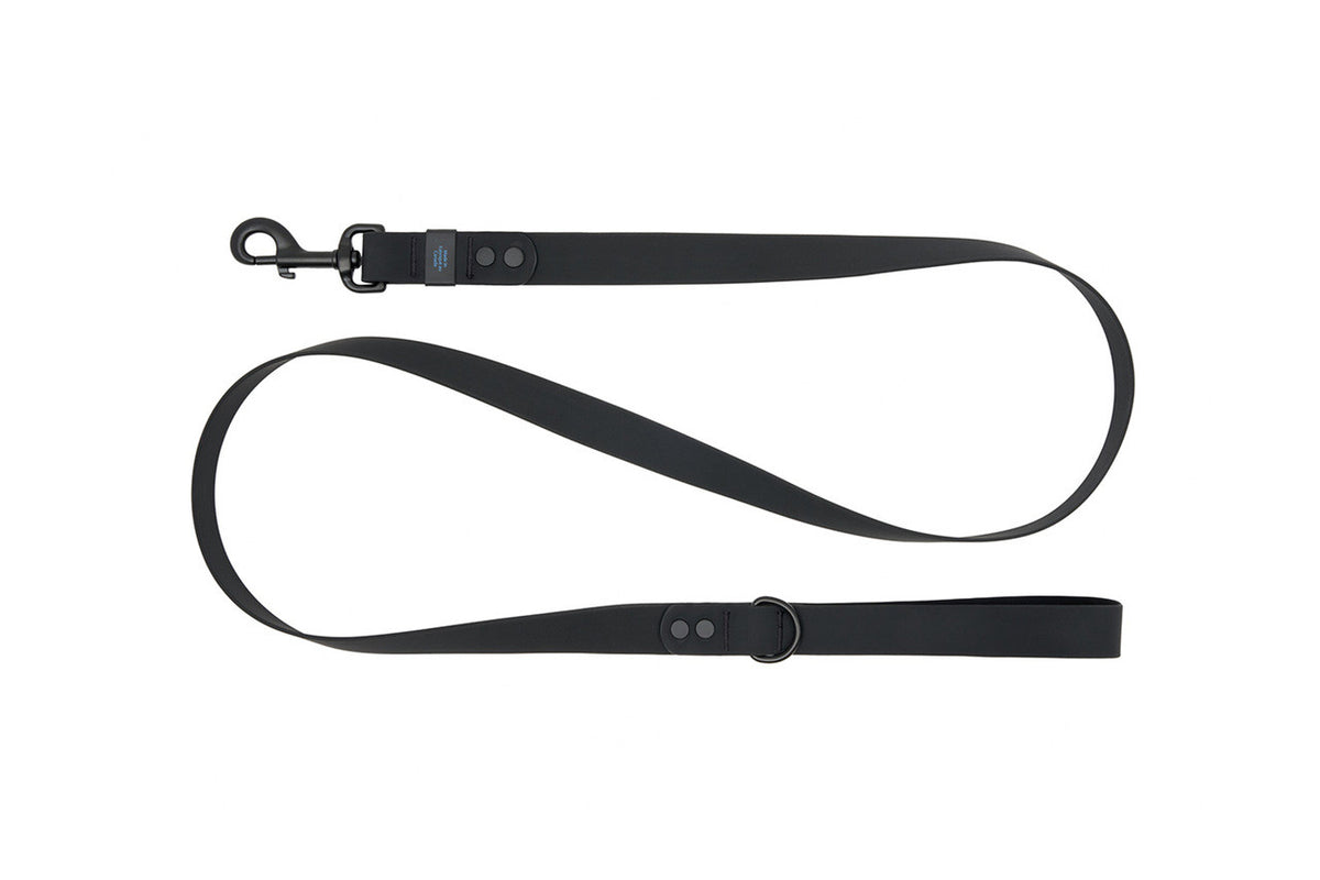 Laisse imperméable 5 pi
