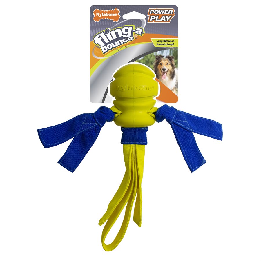Balle Fling-A-Bounce Power Play - jouet pour chien