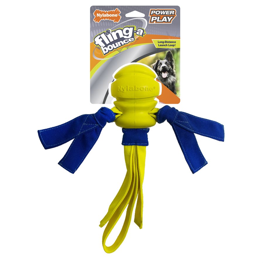 Balle Fling-A-Bounce Power Play - jouet pour chien