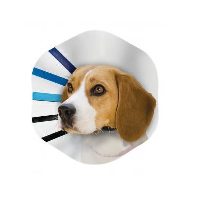 Collier de protection EZ-Clear - collier de protection pour chien et chat