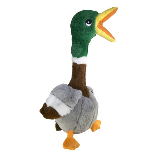 Shakers Honkers canard - jouet pour chien