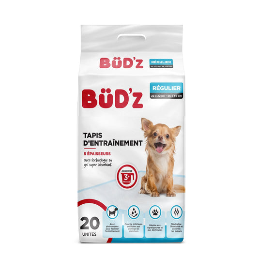 Tapis d'entraînement pour chien