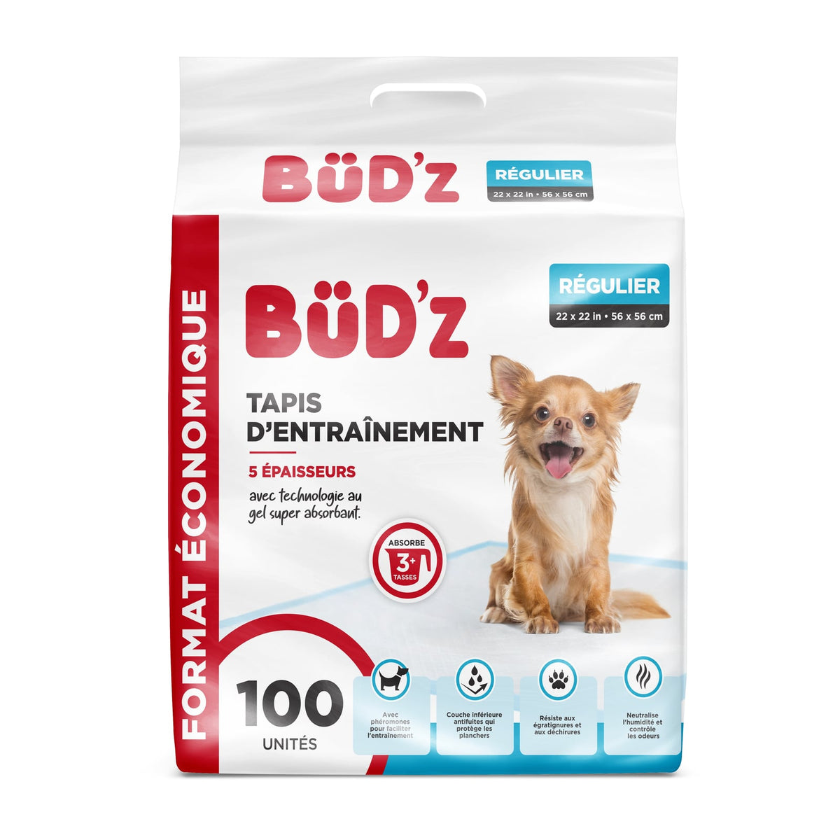 Tapis d'entraînement pour chien