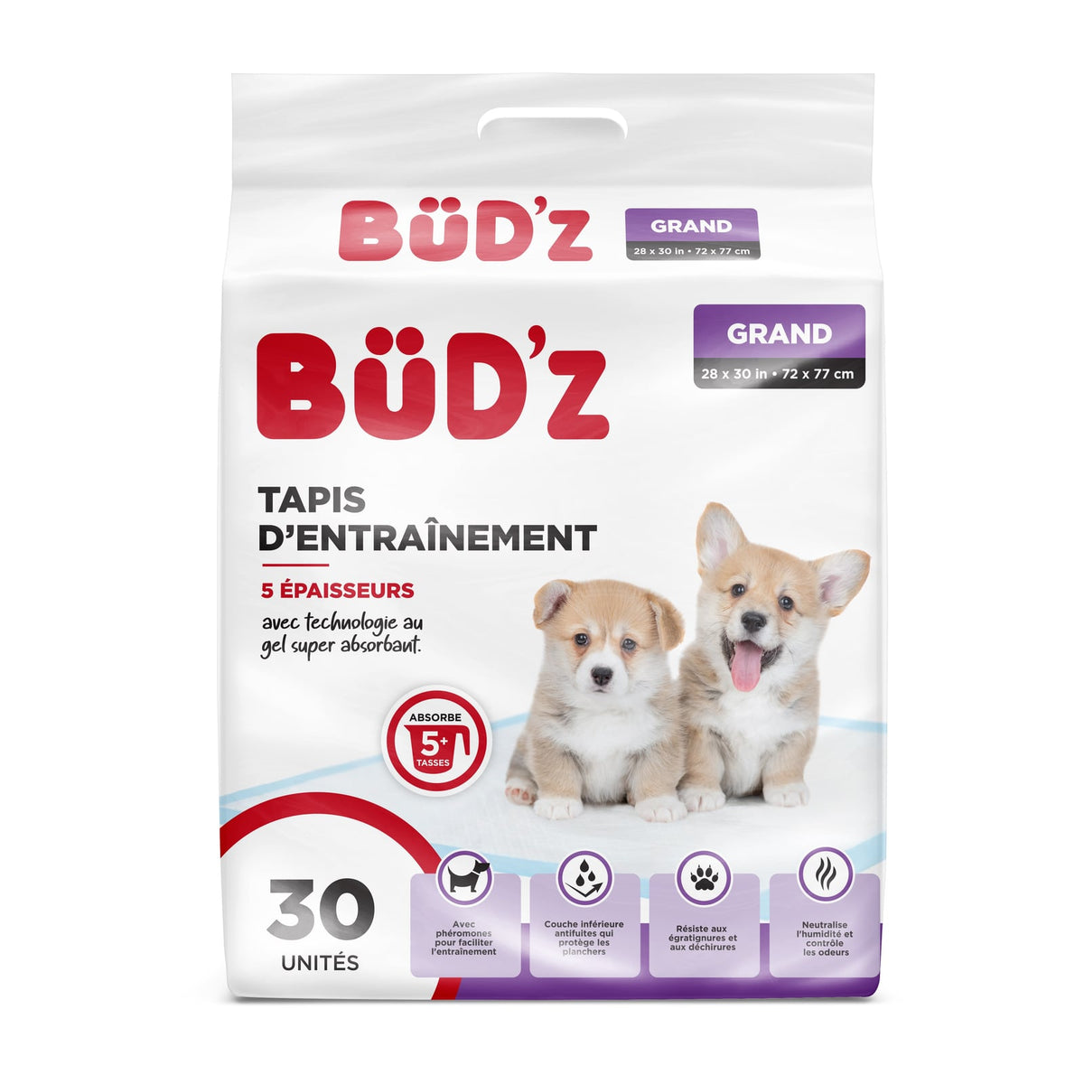 Tapis d'entraînement pour chien