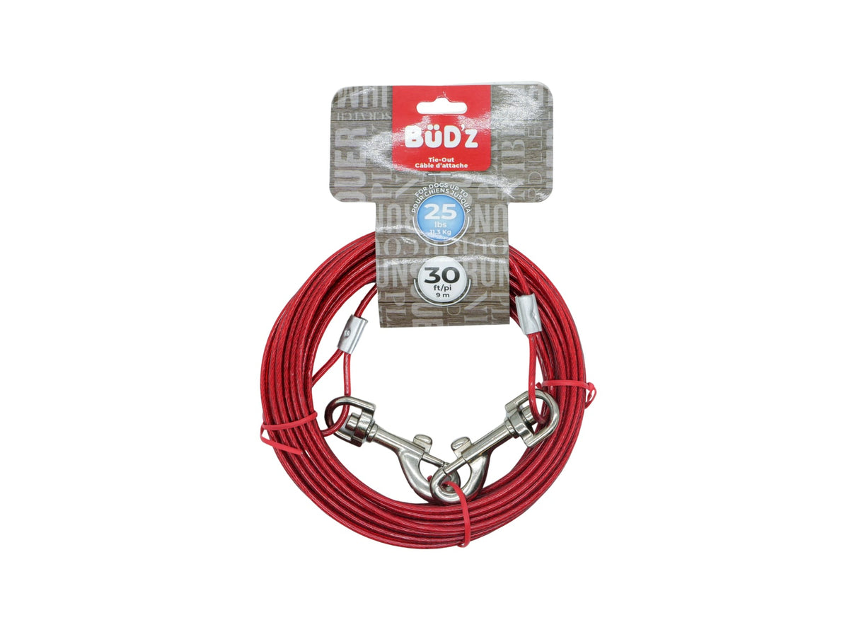 Câble d'attache pour chien