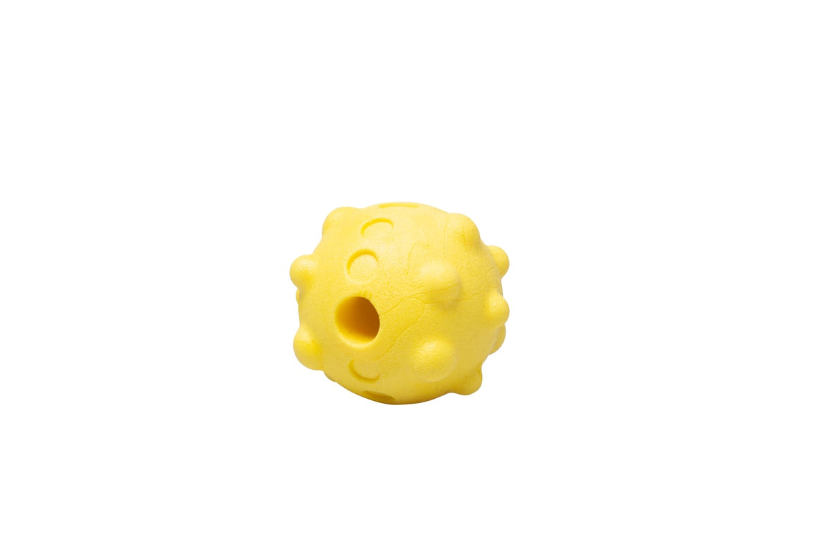 Jouet flottant en mousse pour chien