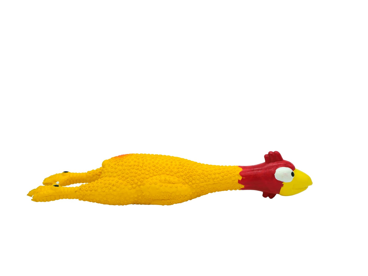 Jouet en latex pour chien poulet hystérique