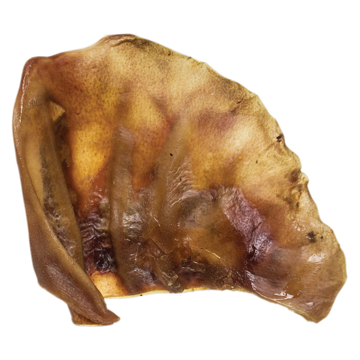 Oreille de cochon naturelle