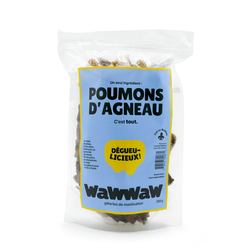 Poumons séchés