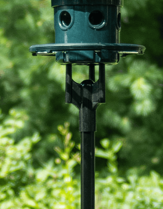 Adaptateur de poteau Squirrel Buster Plus