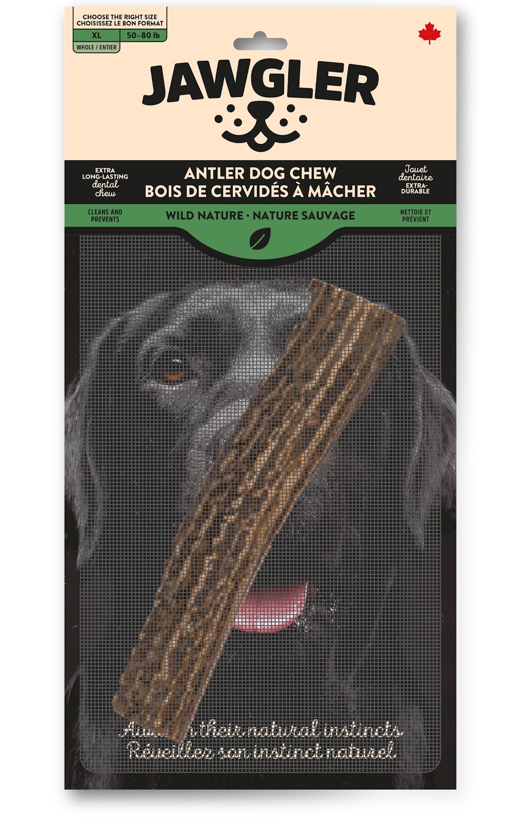 Bois de cervidés entier nature sauvage Jawgler - gâterie à mâcher pour chien