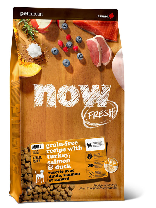 Nourriture sèche Now Fresh sans grains pour chien
