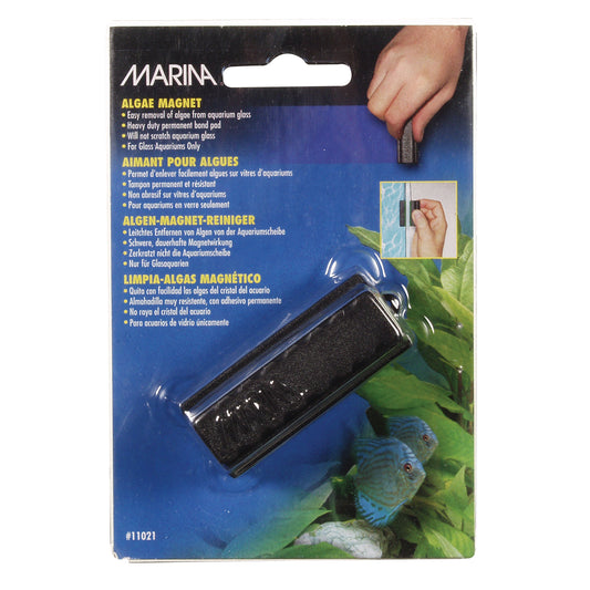 Aimant nettoyeur d'algues pour aquarium