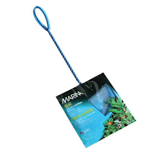 Épuisette pour poissons