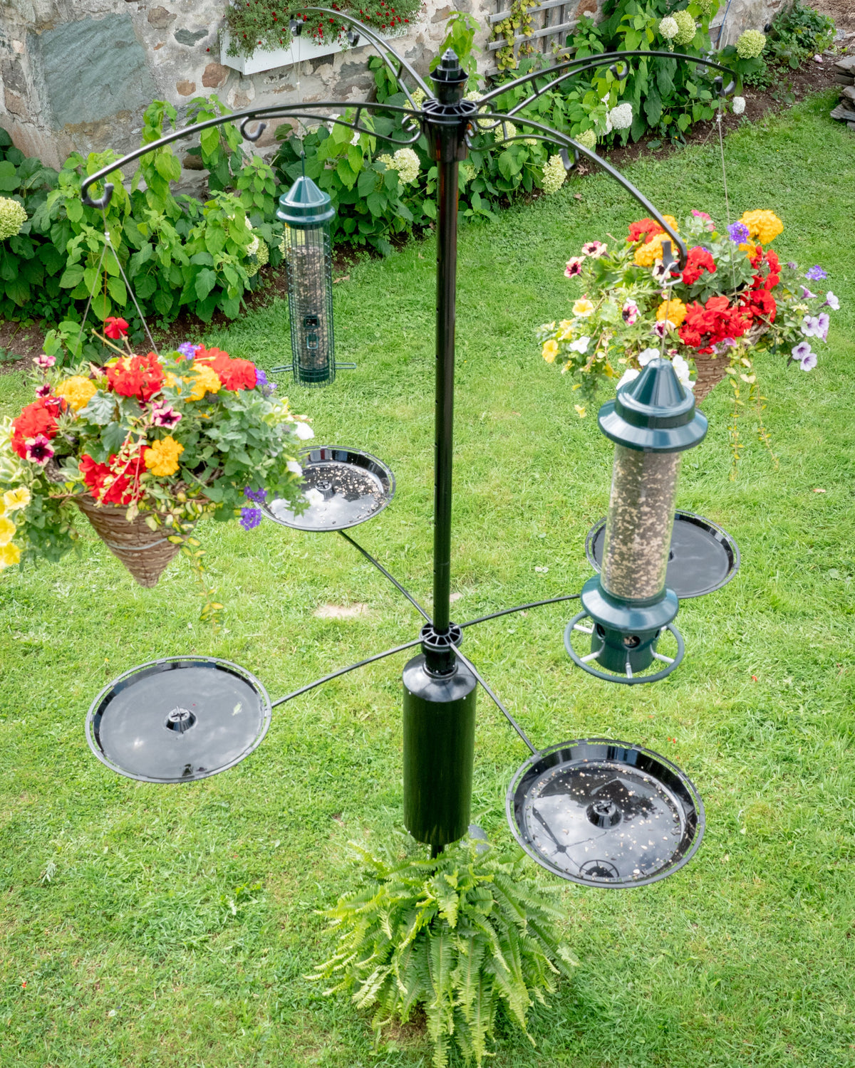 Ensemble de plateaux Raccoon Buster pour oiseau sauvage