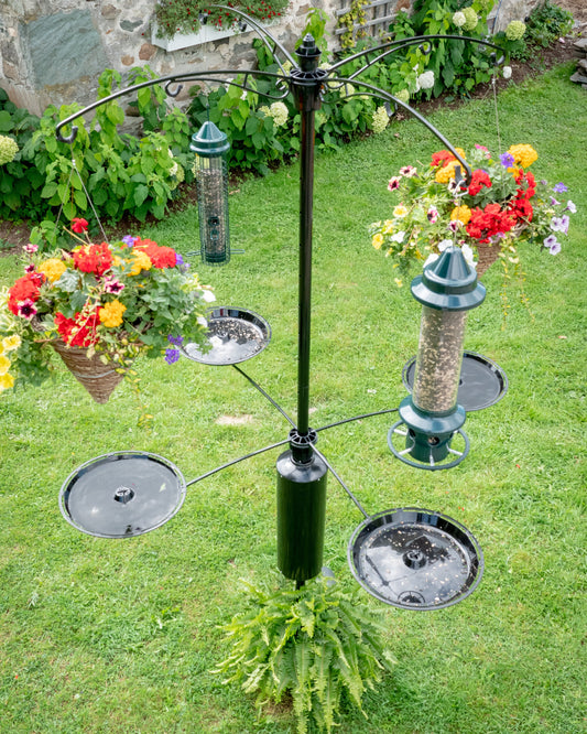 Ensemble de plateaux Raccoon Buster