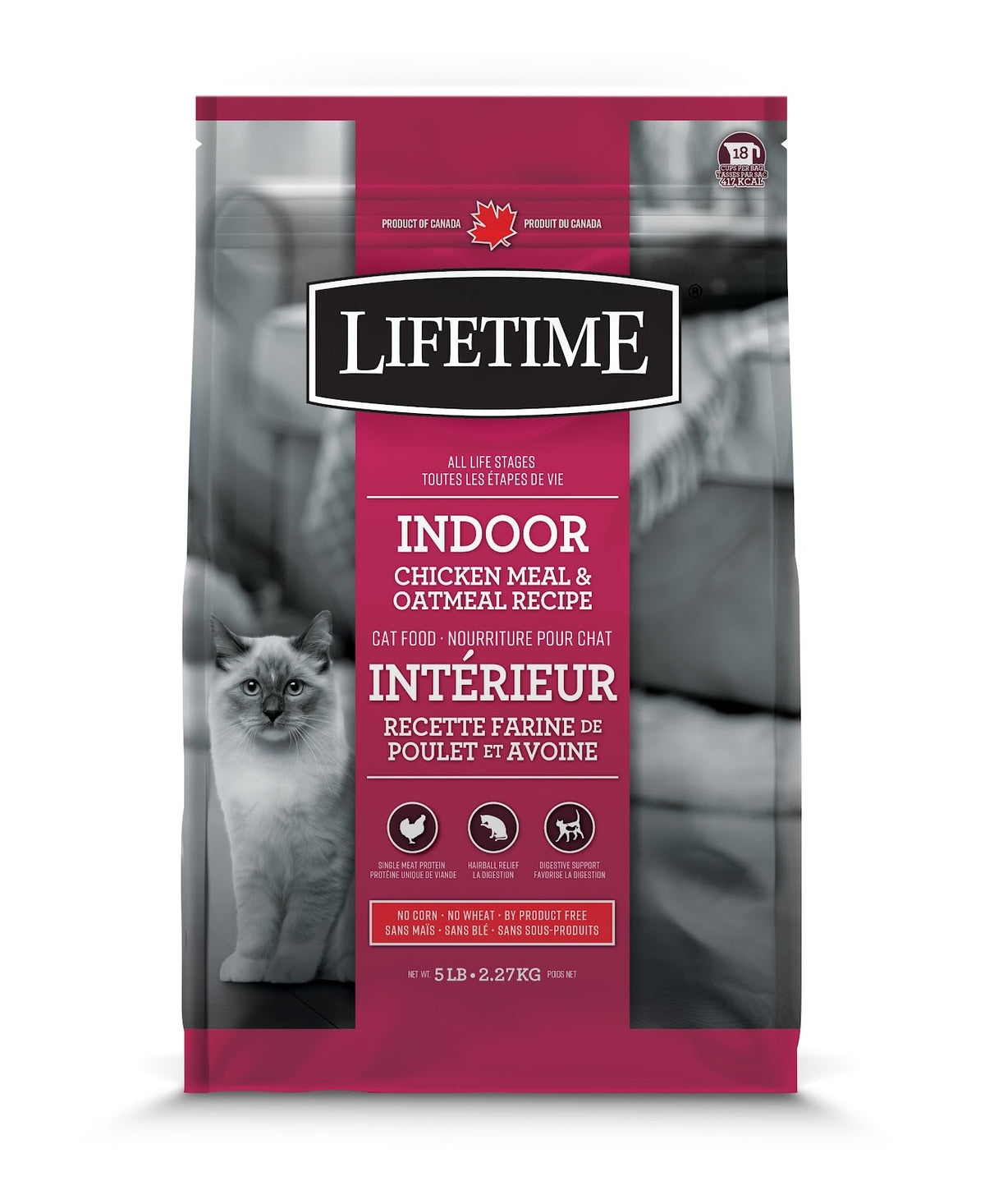 Nourriture sèche Lifetime pour chat d'intérieur, poulet et avoine
