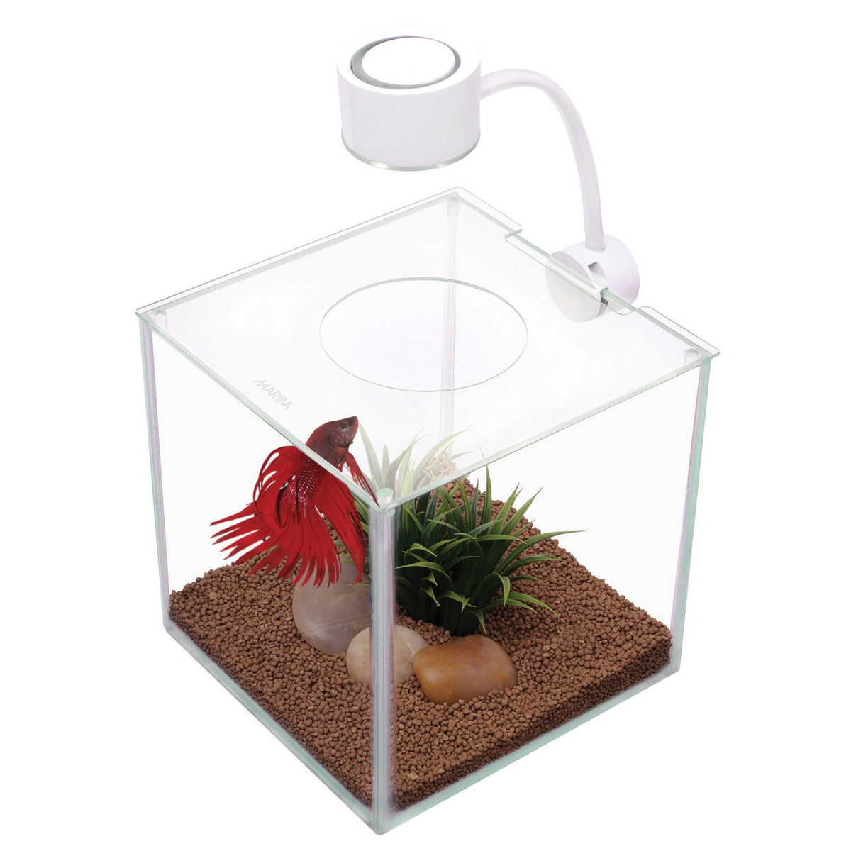 Aquarium équipé Cubus pour betta 3,4 L