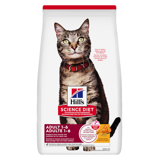 Adulte poulet - nourriture sèche pour chat