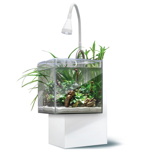 Aquarium équipé Kühl pour l'aménagement miniature 8 L