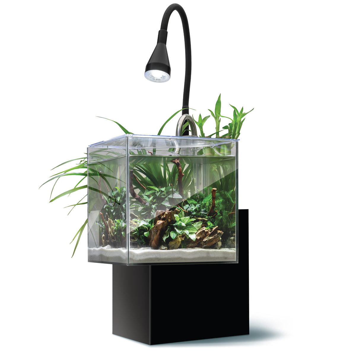 Aquarium équipé Kühl pour l'aménagement miniature 8 L