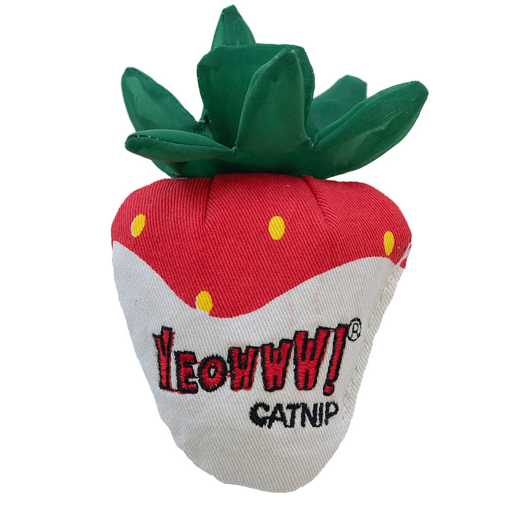 Jouet d'herbe à chat fraise