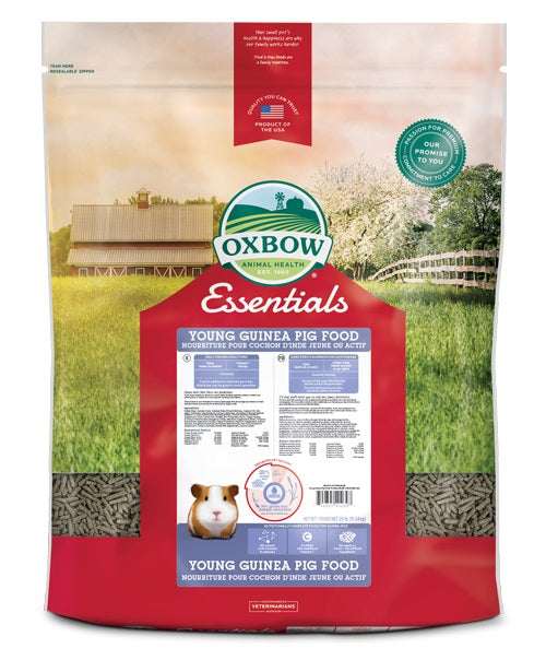 Nourriture Essentials pour jeune cochon d'Inde