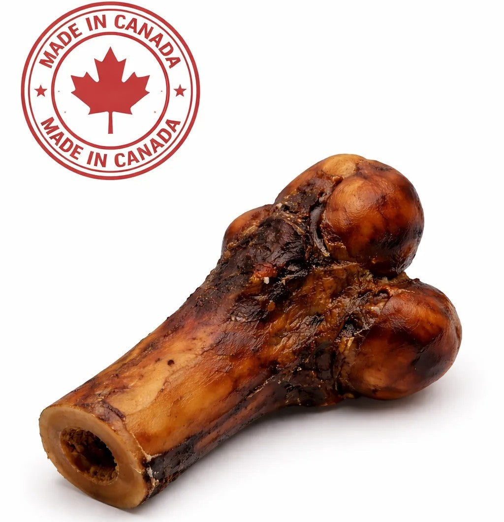 Os dinosaure de bœuf fumé canadien