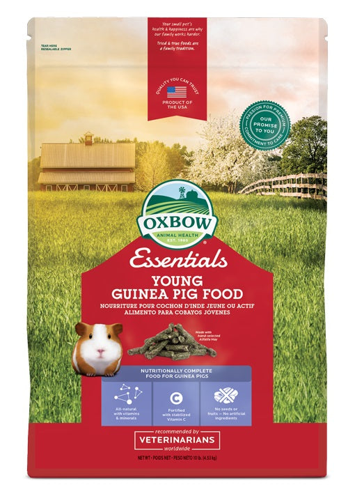Nourriture Essentials pour jeune cochon d'Inde