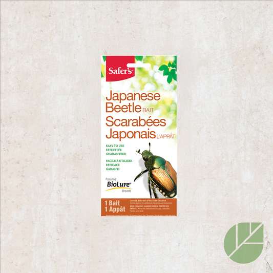 Appât pour piège à scarabées japonais