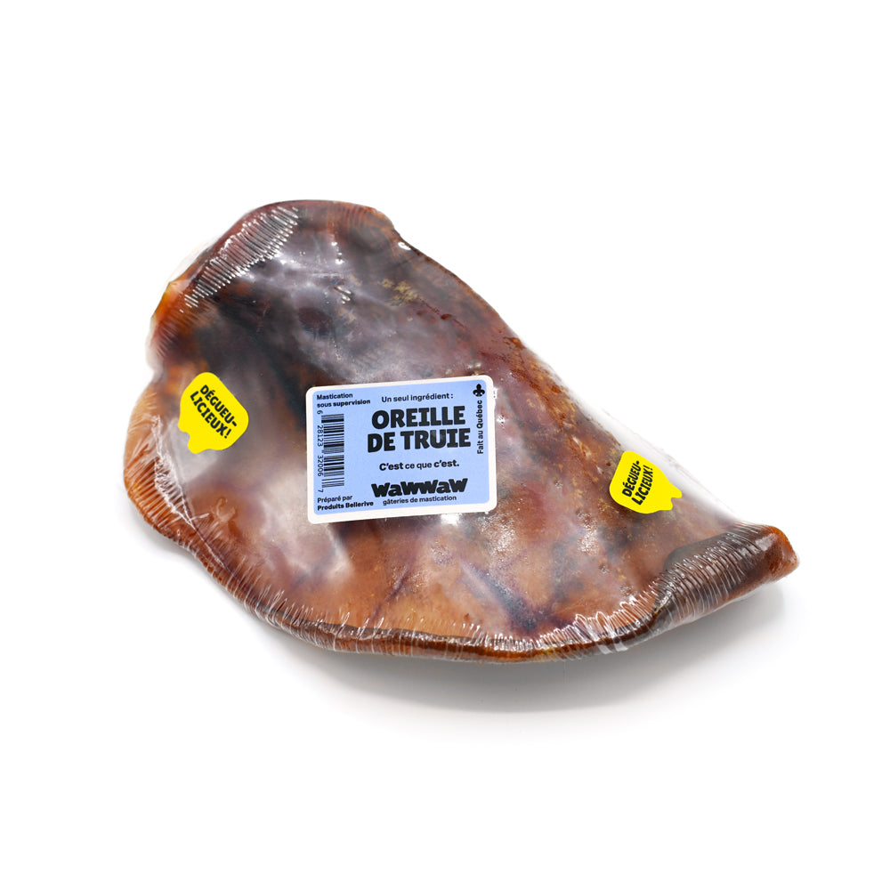 Oreille à mâcher