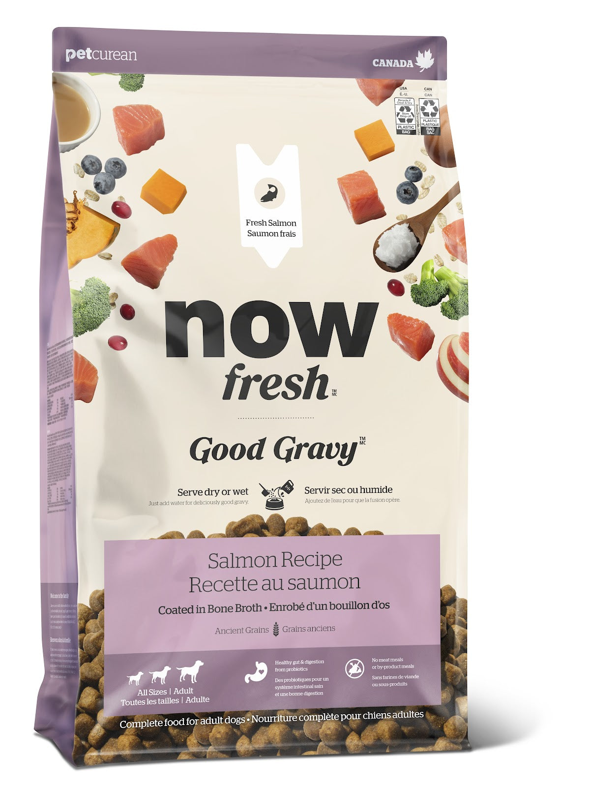 Nourriture sèche Now Fresh Good Gravy aux grains anciens pour chien