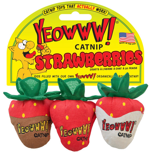 Jouet d'herbe à chat trio de fraises