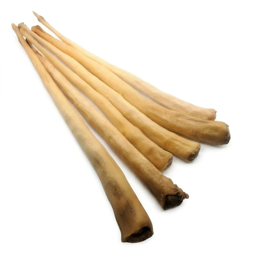 Queue de bœuf entière