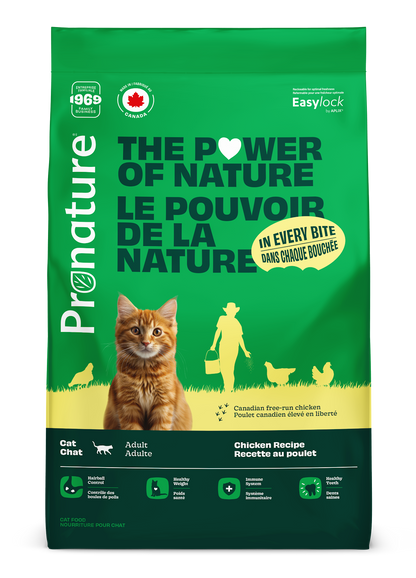 Nourriture pour chat - Adulte - Recette au poulet