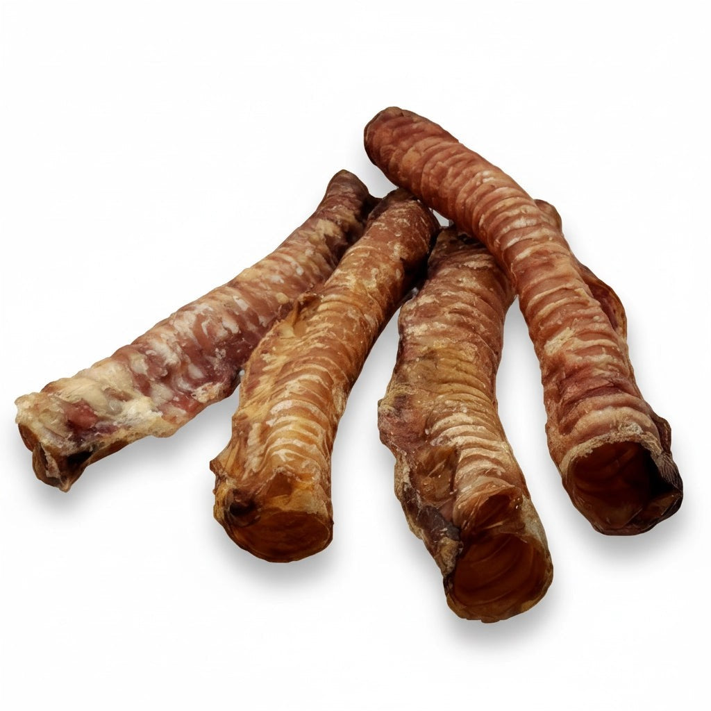 Trachée de bœuf