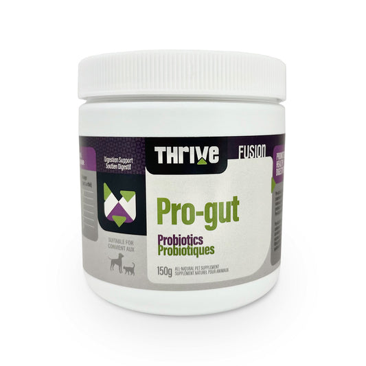 Pro-gut probiotiques 150 g - supplément en poudre pour chien et chat